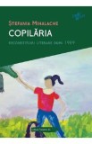 Copilaria. Reconstituiri literare dupa 1989 - Stefania Mihalache