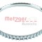 Inel senzor, ABS FIAT DUCATO caroserie (230L) (1994 - 2002) METZGER 0900170