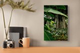Tablou Canvas, "Grădina tropicală ascunsă &icirc;n pădure", Frunziș, Vegetație, Trunchiuri, Liană, Verde, Pădure, Densitate, Tropical, Natură, Exotic, Vital