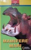 Ghid Buzunar Mamifere Mari - Carolinda Hill, National Geographic, 1998, Romana, Coperta Paperback