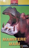 Ghid Buzunar Mamifere Mari - Carolinda Hill, National Geographic, 1998, Romana, Coperta Paperback