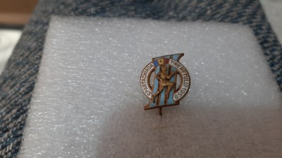 insigna Spartachiada Tineretului 1958 foto