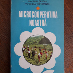 Microcooperativa noastra - Mariana Serban / R2P1S