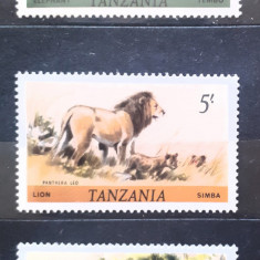 Tanzania fauna animale salbatice, leu, cerbi caprioare, elefant nestampilate