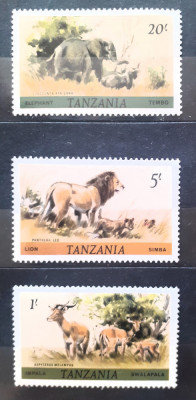 Tanzania fauna animale salbatice, leu, cerbi caprioare, elefant nestampilate foto