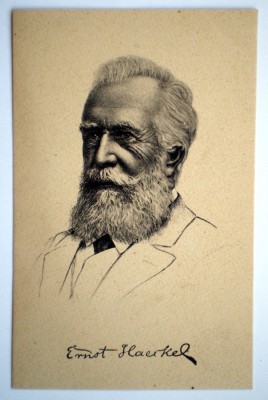 P.036 CARTE POSTALA ERNST HAECKEL NATURALIST foto