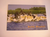 QW24 D - Carte postala - tematica turism - vedere - Delta Dunarii 8