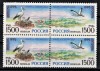 Timbre Rusia 1995, Colectia Europa, Pasari, 3 Serii Complete Perechi MNH