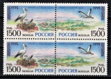 Timbre Rusia 1995, Colectia Europa, Pasari, 3 Serii Complete Perechi MNH