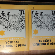 Viata si martiriul evreilor din Campulung - Bucovina - Lucrare colectiva (2 vol)