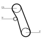 Curea distributie Ford Escort III, Escort III Express, Escort IV, Escort IV Express, Fiesta II, Orion I, Orion II Motor 1.6 D, 1.6 D, dinti 98, 19