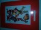 Foto  - 13