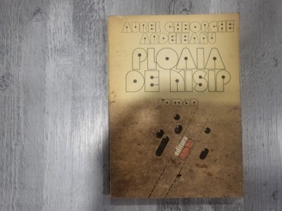 Ploaia de nisip de Aurel Gheorghe Ardeleanu foto