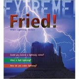 Fried! When Lightning Strikes