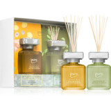 Ipuro Essentials Cardamom &amp; Ginger set cadou 2x50 ml