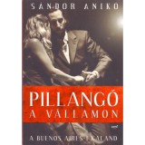 Pillang&oacute; a v&aacute;llamon - Egy nő, akit nem lehet t&ouml;bb&eacute; megal&aacute;zni... - S&aacute;ndor Anik&oacute;, S&aacute;ndor Anik&oacute;