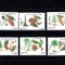 M1 TX5 8 - 1996 - Flora - conifere