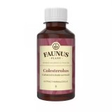 TINCTURA COLESTEROLUS 200ML