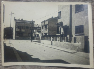 Colt bucurestean?// fotografie foto