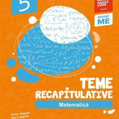 Matematica. Teme recapitulative. Clasa a V-a, Anton Negrila, Maria Negrila Editia II