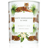DW Home Ninety Six White Sandalwood &amp; Sage lum&acirc;nare parfumată 413 g