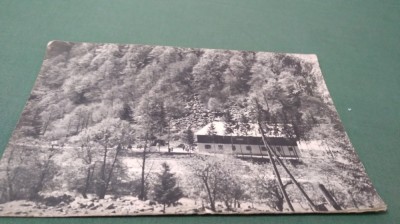 FOTO MARE TIP 17/12 IMTERBELICA foto