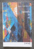 Radu Andriescu - Oglinda la zi