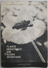 Plante medicinale din flora spontana &ndash; Constantinescu Corneliu (putin uzata)