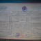 HOPCT DOCUMENT VECHI NR 294 EXTRAS STAREA CIVILA PTR CASATORITI 1949 BUCURESTI