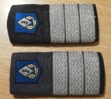 C2 8 - Grade militare - plutonier adjutant jandarmi - piesa de colectie!