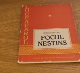 Petru Dumitriu - Focul nestins