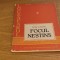 Petru Dumitriu - Focul nestins