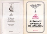 Cumpara ieftin Ion Gavrila Ogoranu - Intamplarile din lumea lui Dumnezeu - Biografii, Memorii, Jurnale, Limba Romana, Stare Buna, Brosata