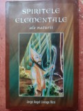 SPIRITELE ELEMENTALE ALE NATURII. JORGE ANGEL LIVARAGA RIZZI .