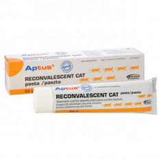 Pasta APTUS - RECONVALESCENT CAT 60 g foto