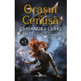 Orașul de Cenușă (vol.2 din seria Instrumente Mortale)