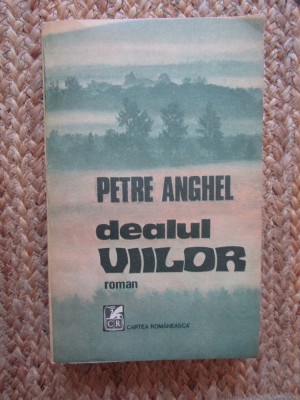 PETRE ANGHEL - DEALUL VIILOR foto