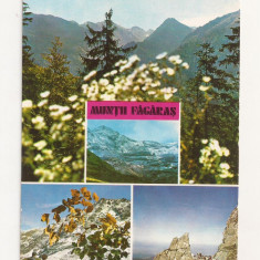 RF13 -Carte Postala- Muntii Fagaras, circulata 1976