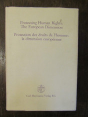 PROTECTING HUMAN RIGHTS: THE EUROPEAN DIMENSION-IN HONOUR OF GERARD WIARDA foto