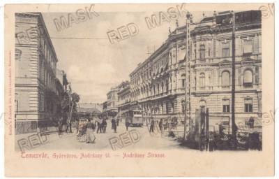 3729 - TIMISOARA, Market, tramway, Litho, Romania - old postcard - used - 1903 foto