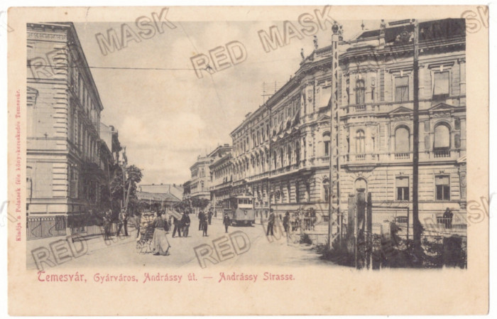 3729 - TIMISOARA, Market, tramway, Litho, Romania - old postcard - used - 1903