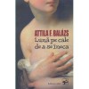 Attila F. Balazs - Luna pe cale de a se ineca - 131437
