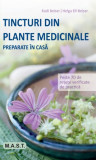 Tincturi din plante medicinale preparate in casa | Rudi Beiser, Helga Ell-Beiser, mast