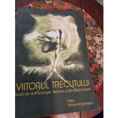 Viitorul trecutului Studii de antropologie, literatura si stiinta informatiei - Mircea Anghelescu