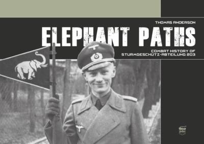 Elephant Paths: Combat History of Sturmgesch foto