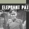 Elephant Paths: Combat History of Sturmgesch