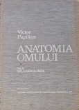 Anatomia omului (volumul 2 - Splanhnologia) - 1979 - Victor Papilian (AS417), Didactica si Pedagogica