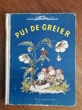 Pui de greier - Domnita Georgescu Moldoveanu / R6P5F, Alta editura