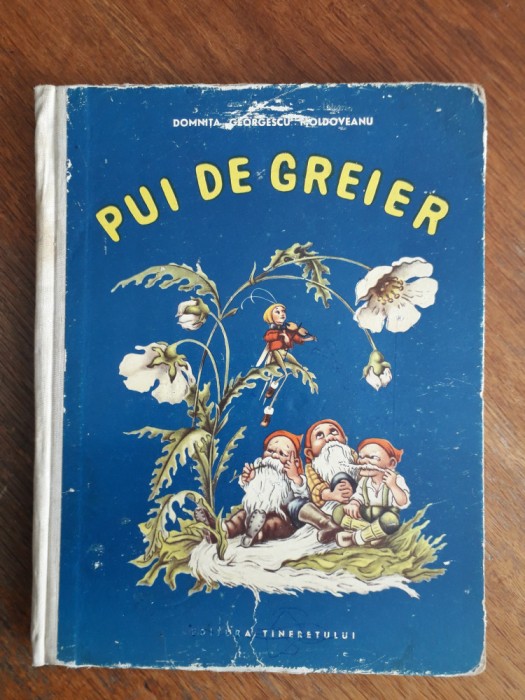 Pui de greier - Domnita Georgescu Moldoveanu / R6P5F