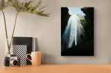 Tablou Canvas, "Cascada grandioasă &icirc;n munți abrupți", Cascadă, &Icirc;naltă, Impresionantă, Natură, Misterioasă, Umedă, Aventură, Ploaie, Lumină, Verdeață,